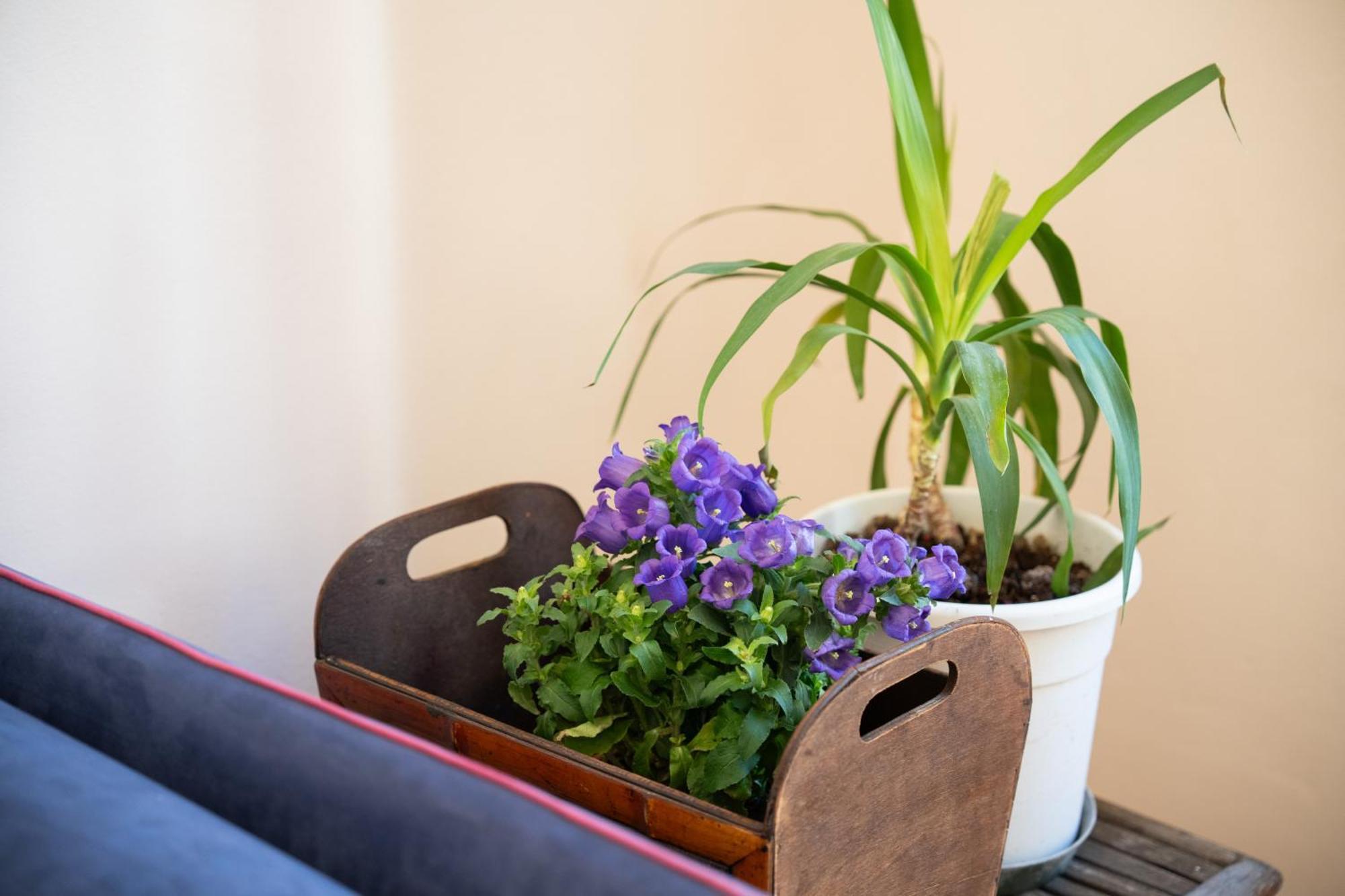 Mantellate 9 Bed and breakfast Florencia